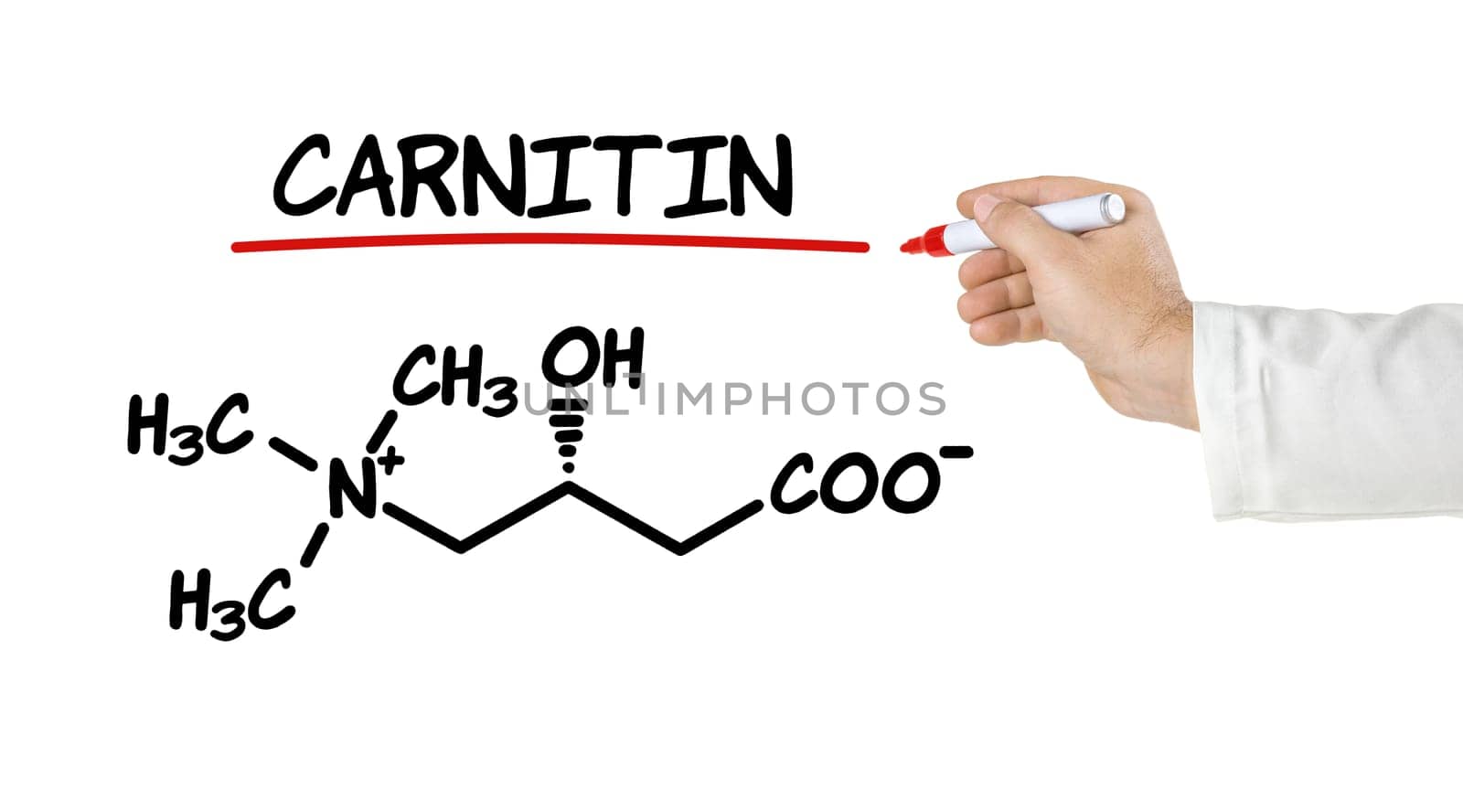 Chemical structural formula of carnitine