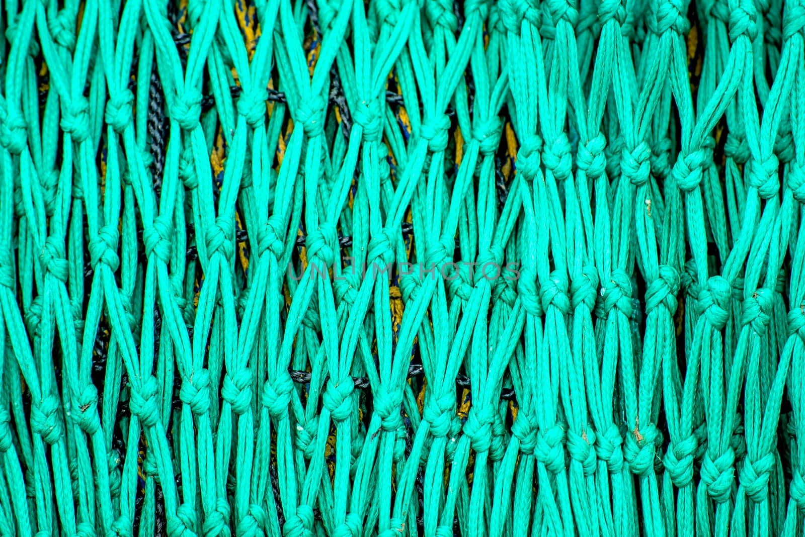 Fishing net