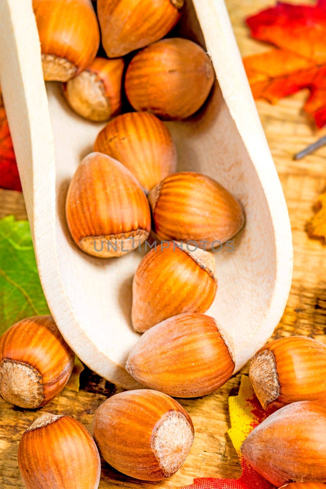 Hazelnuts