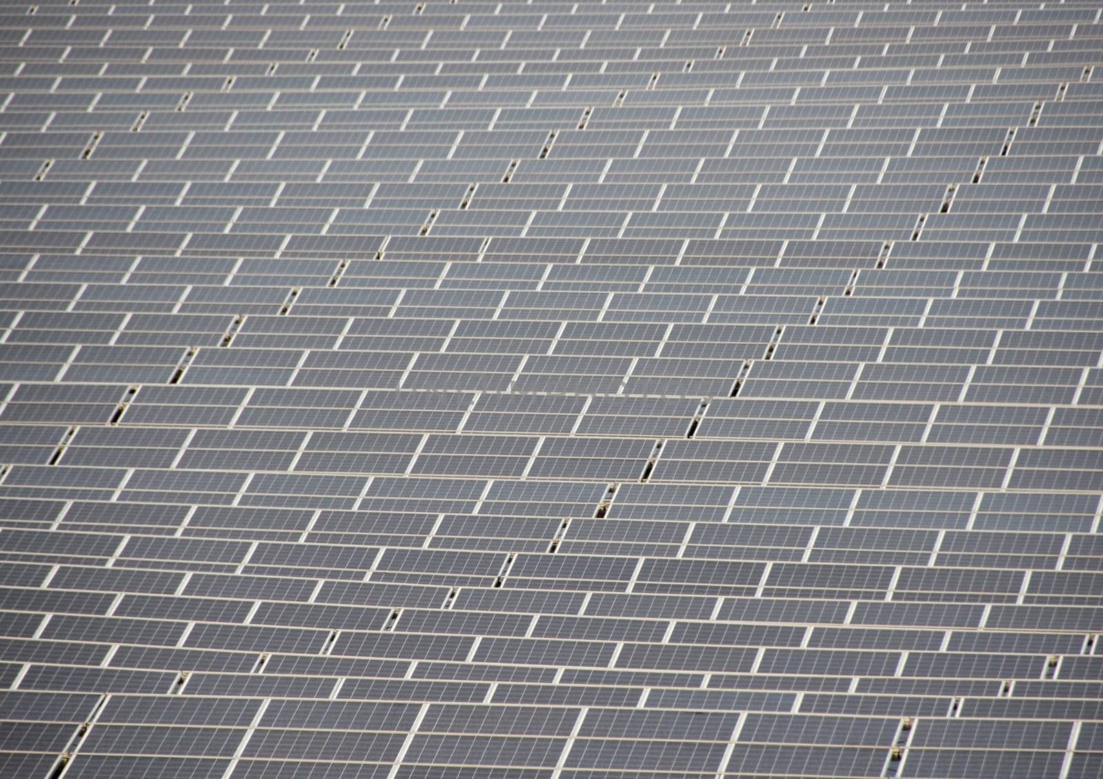 Sun Solar Cell Outdoor Industrial Field Plant Background