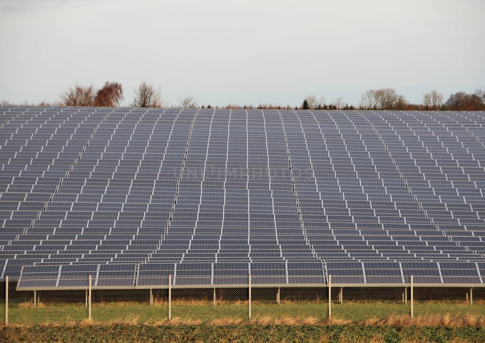 Sun Solar Industrial Plant with Fence Grass and Horizon