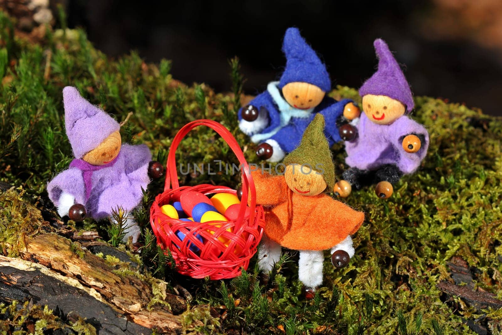 Four little gnomes are looking for Easter eggs in the forest