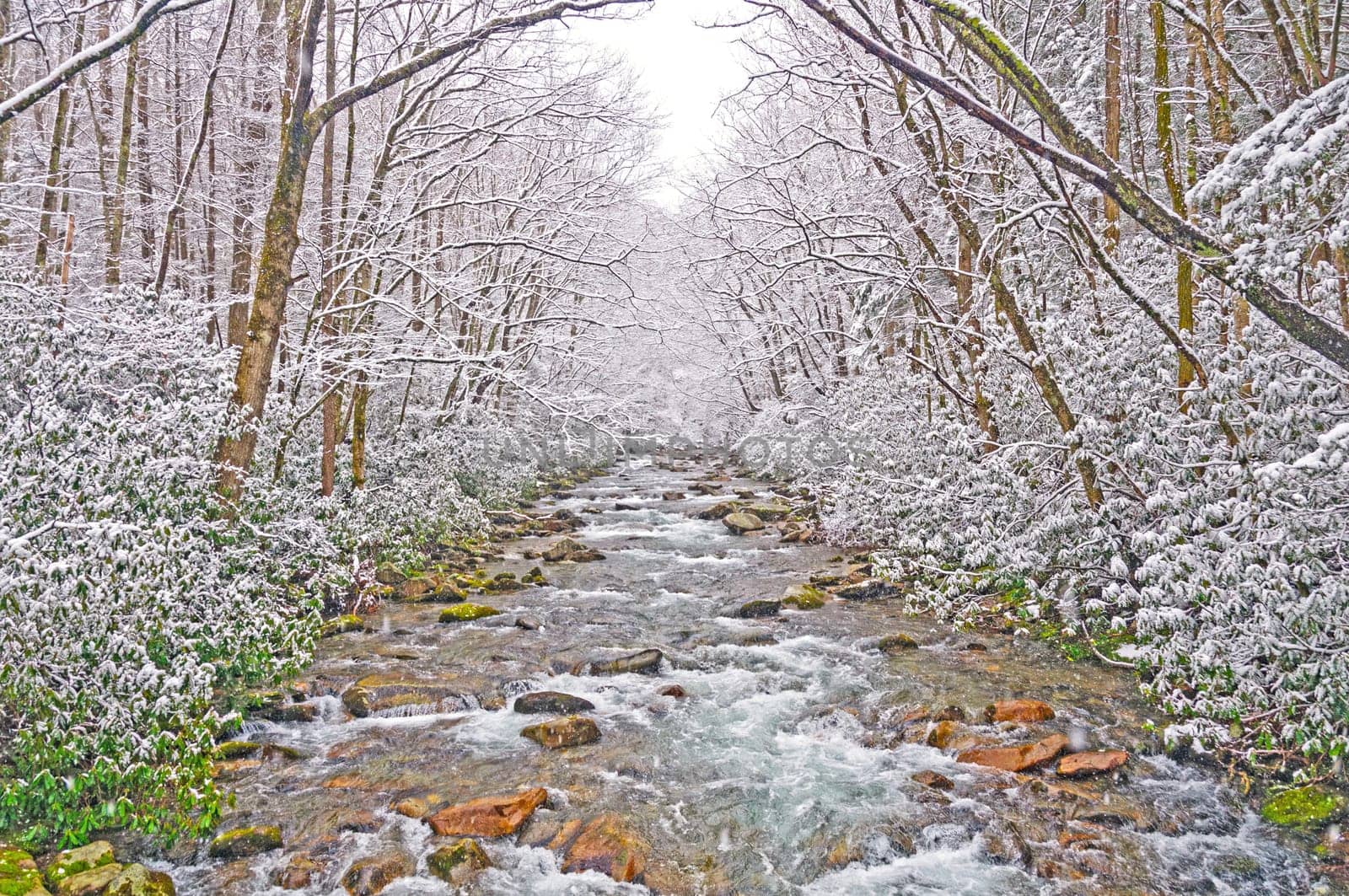 Big Creek in the Smoky Mountains During a Spring Snow Storm