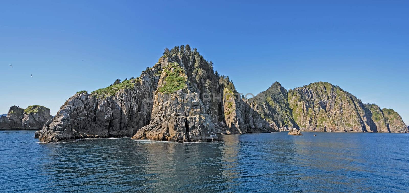 The Chiswell Islands in Kenai Fjords National Park in Alaska