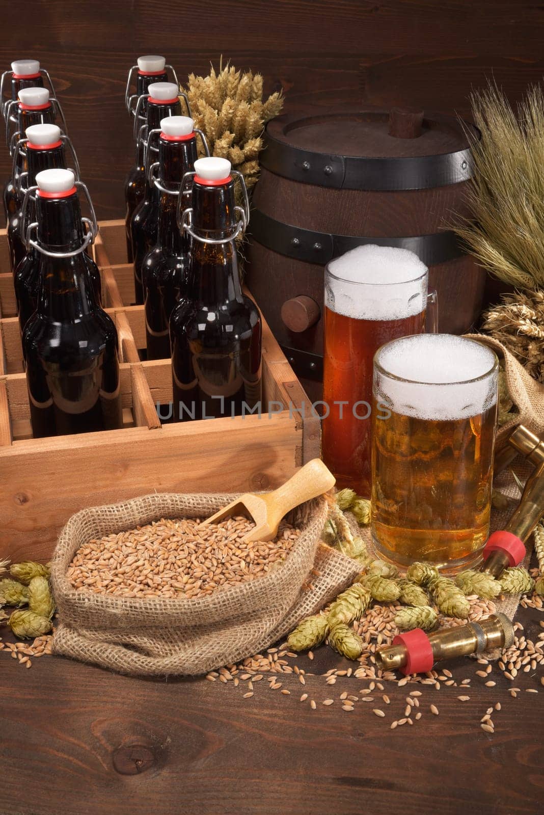 Beer carriers with various beers,wheat,barley,hops and malt