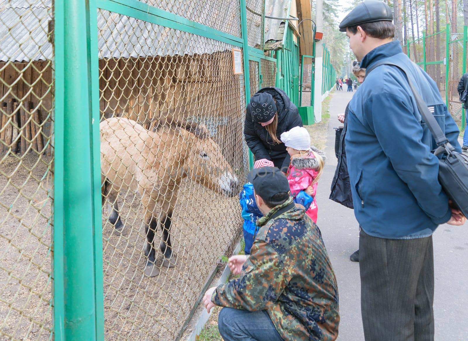 Orel, Russia - October 18, 2015: Children with the parents feed the animals in the National Park "Orlovskoye Polesie"""