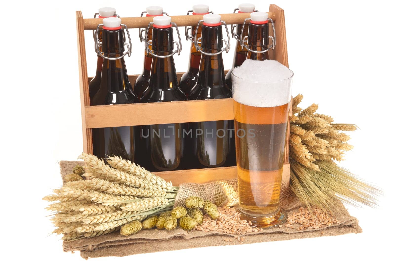 Beer carriers and beer glass with wheat,barley,hops and malt Insulated On White