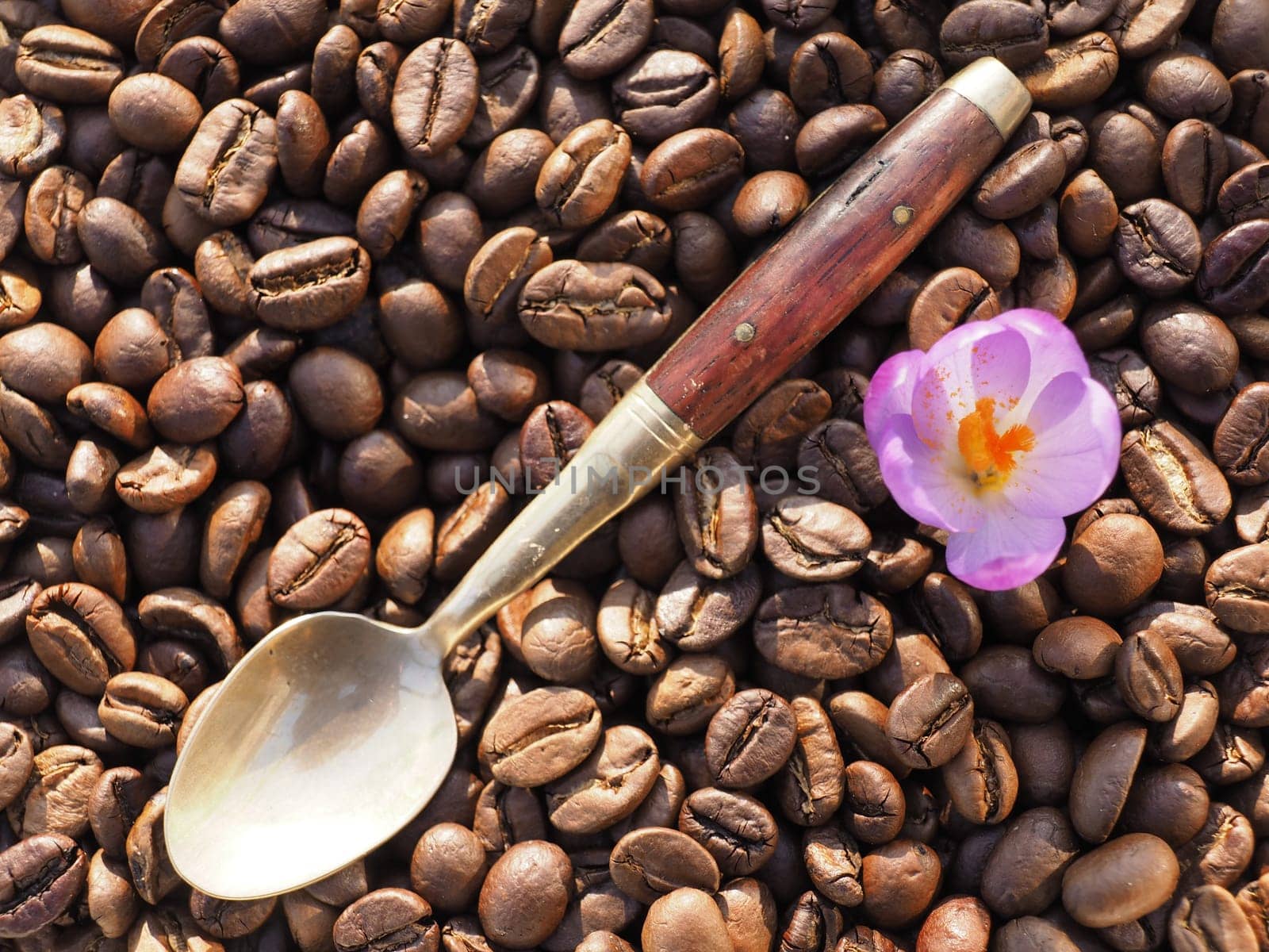 Coffee spoon