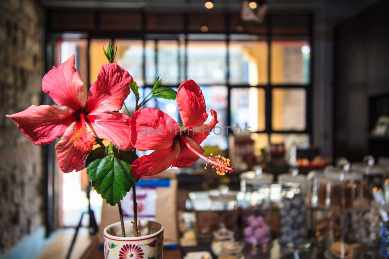 The Hibiscus blossom with nice background color