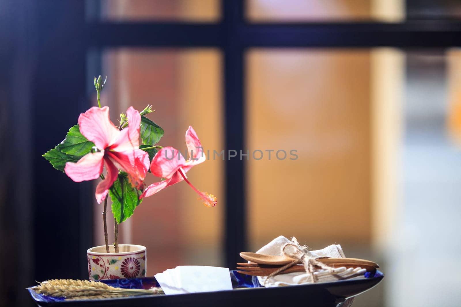 The Hibiscus blossom with nice background color