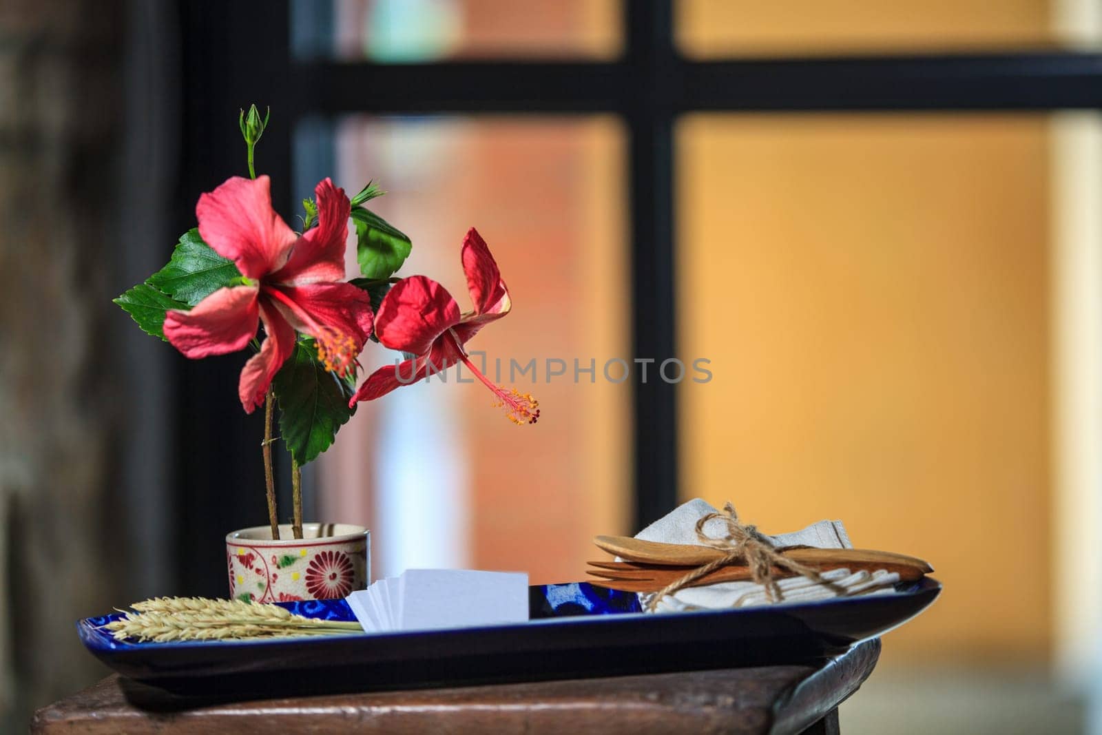 The Hibiscus blossom with nice background color