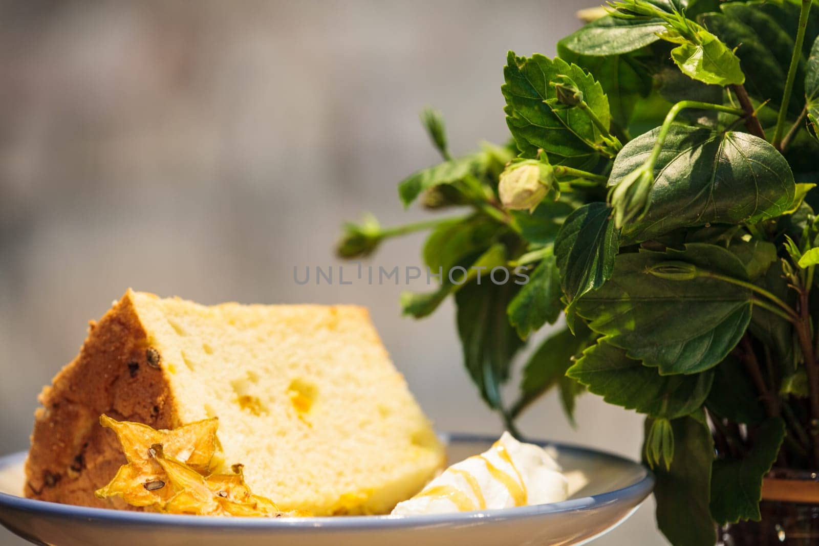 The Selective focus, Chiffon cake on nice dish cutting board