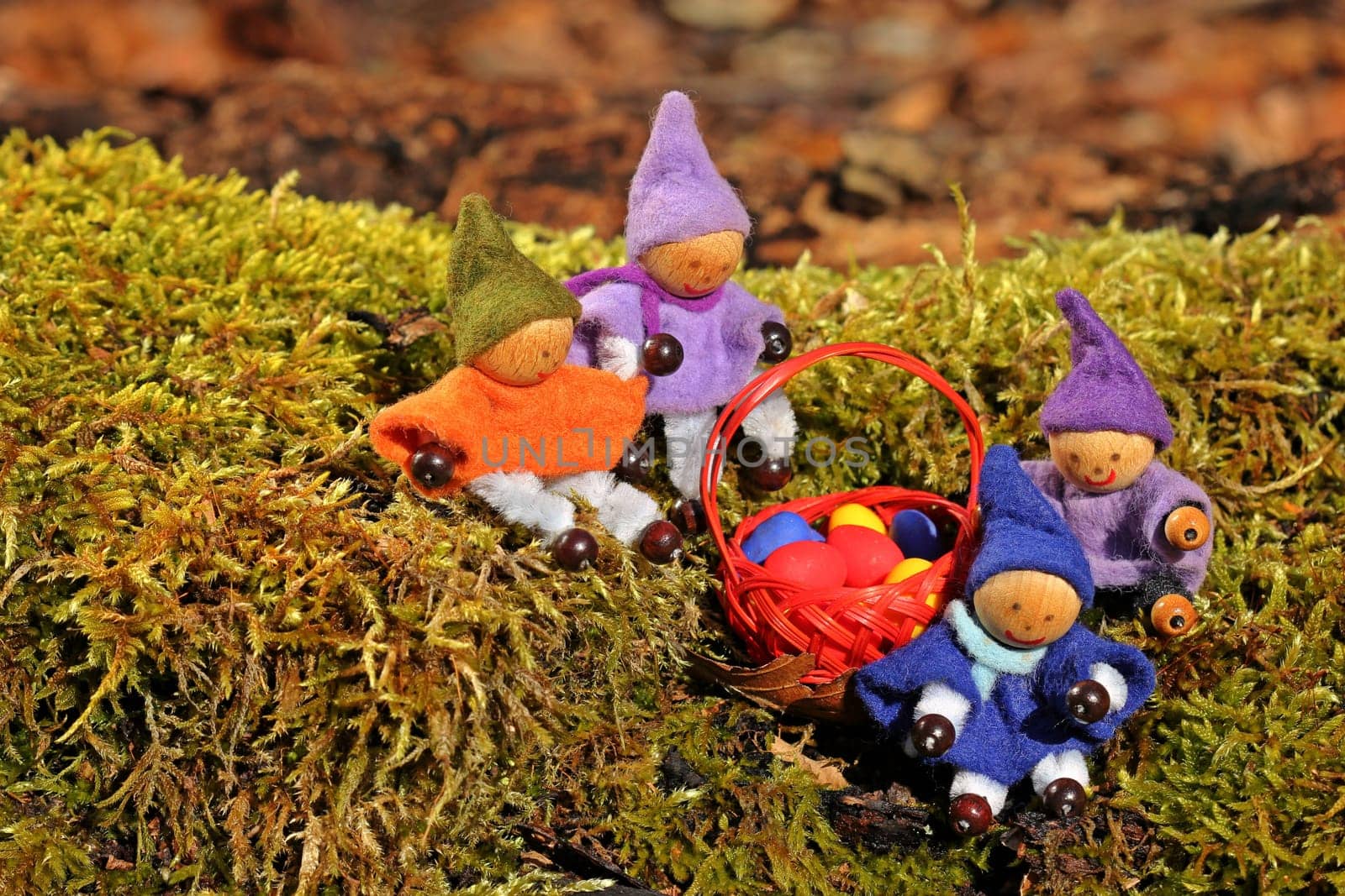 Four little gnomes are looking for Easter eggs in the forest