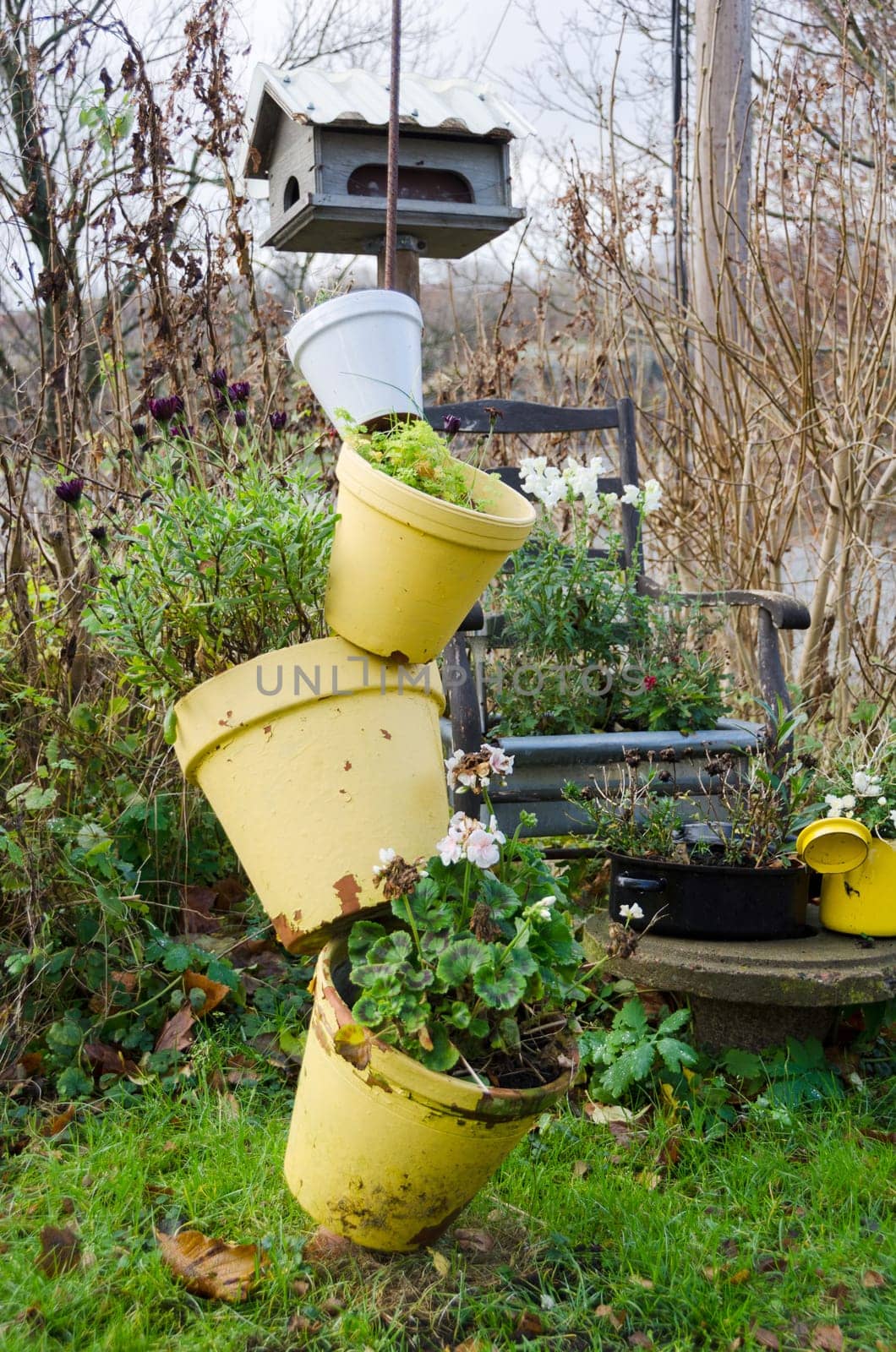 one arrangement with garden pots and flowers in the garden and it s autumn