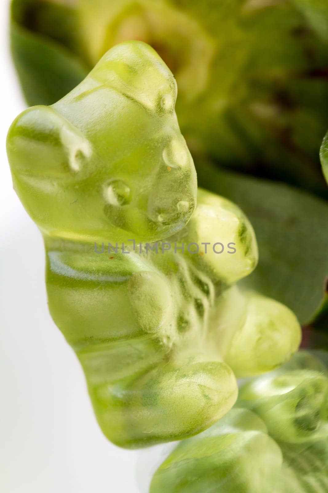 Rubber bears in fruit