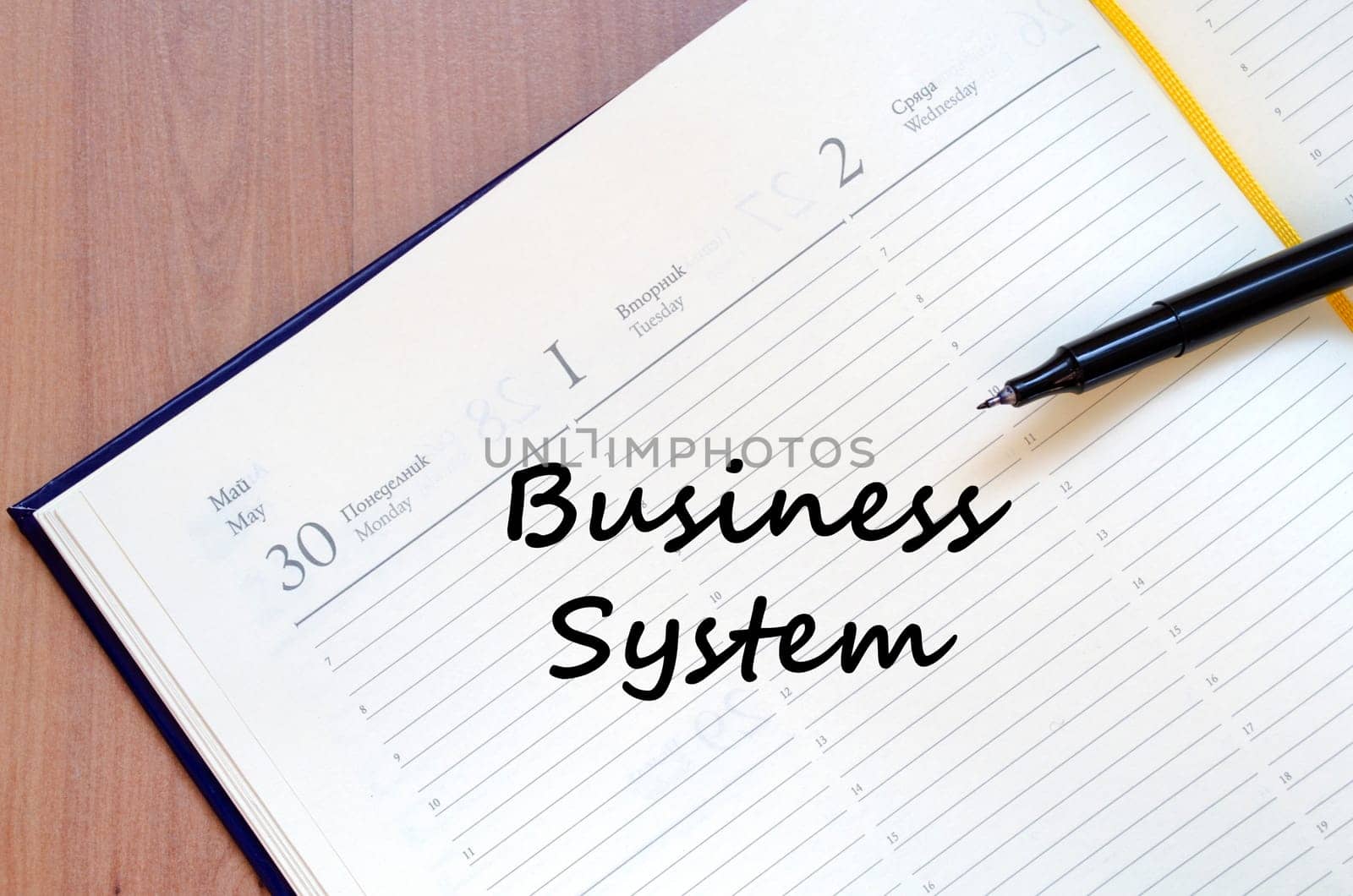 Business system text concept write on notebook with pen
