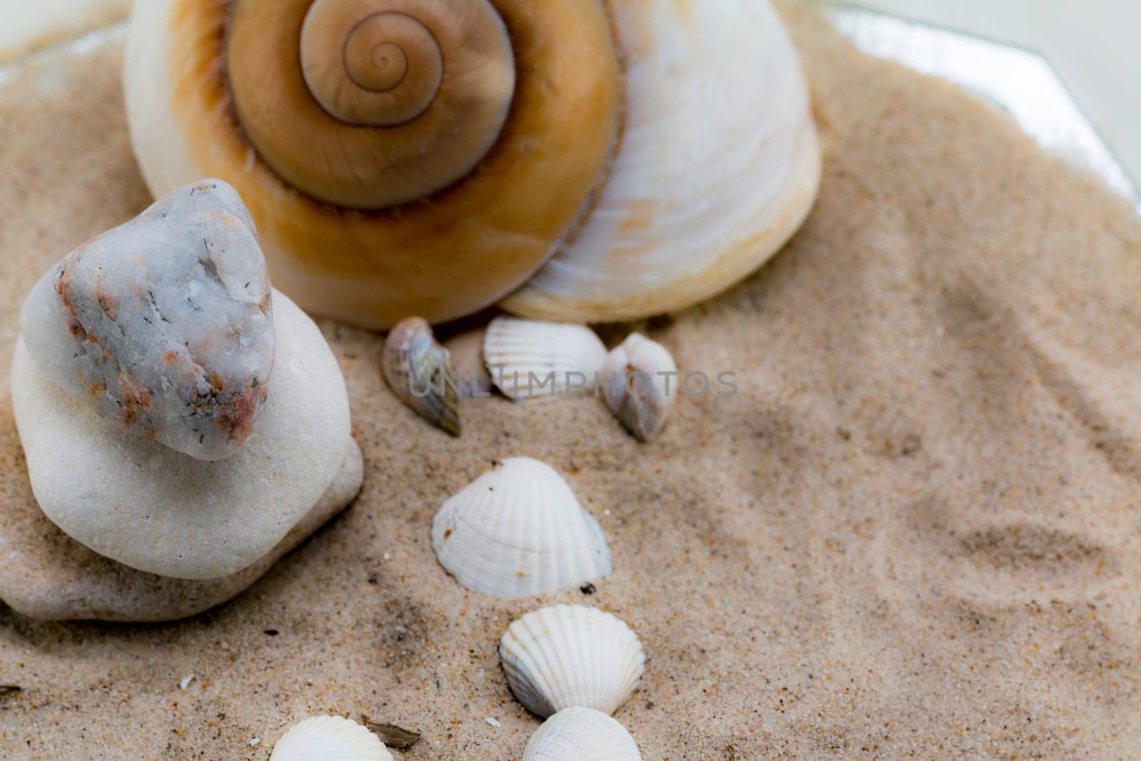 shellfish