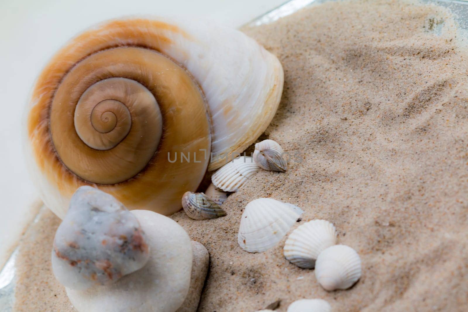 Shells