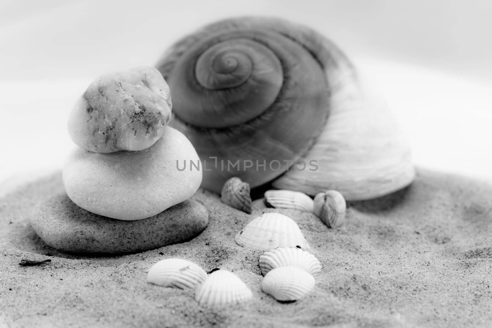 Shells