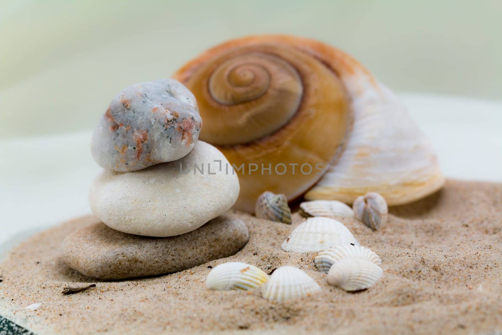Shells
