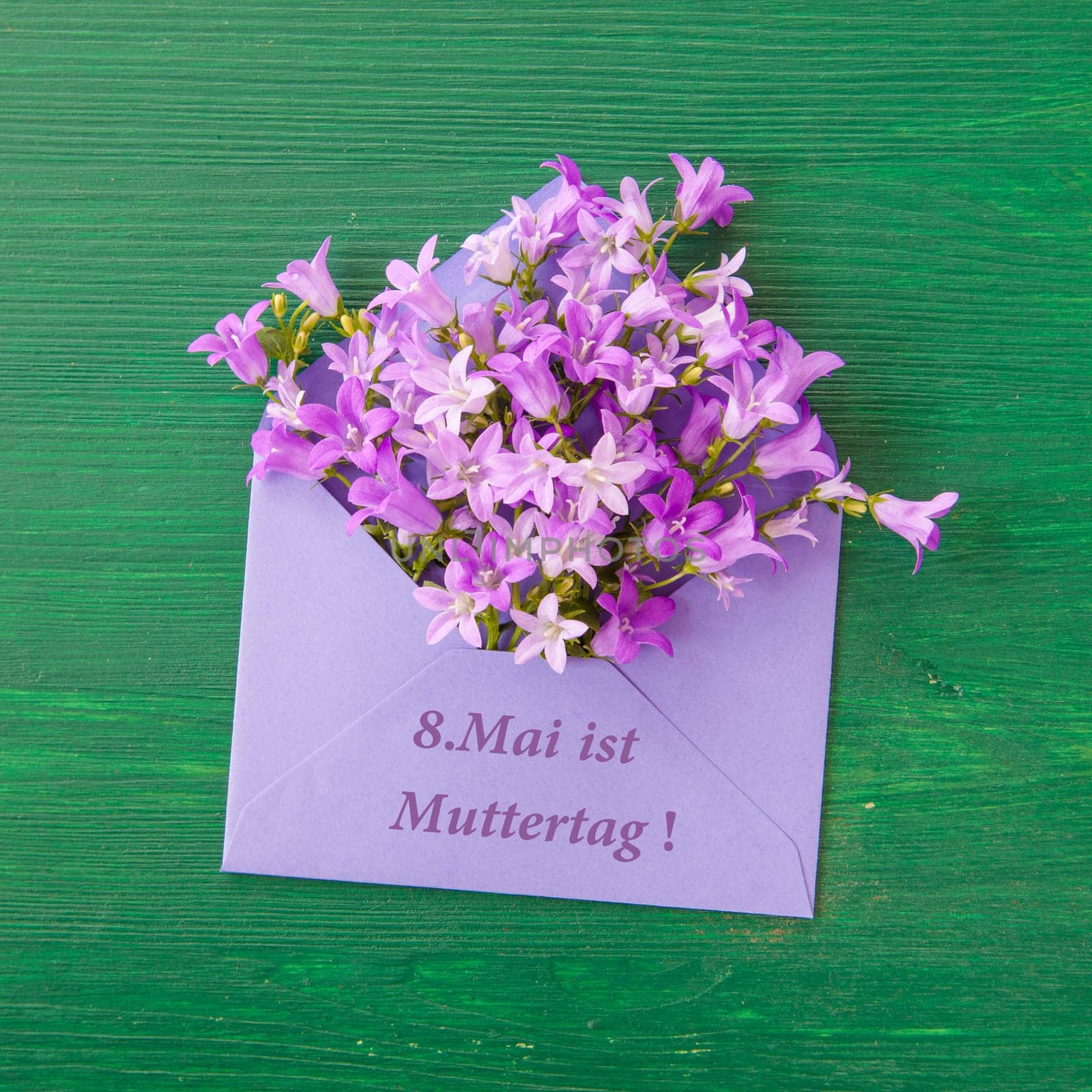 Purple envelope with fresh bellflowers on green background made of wood
