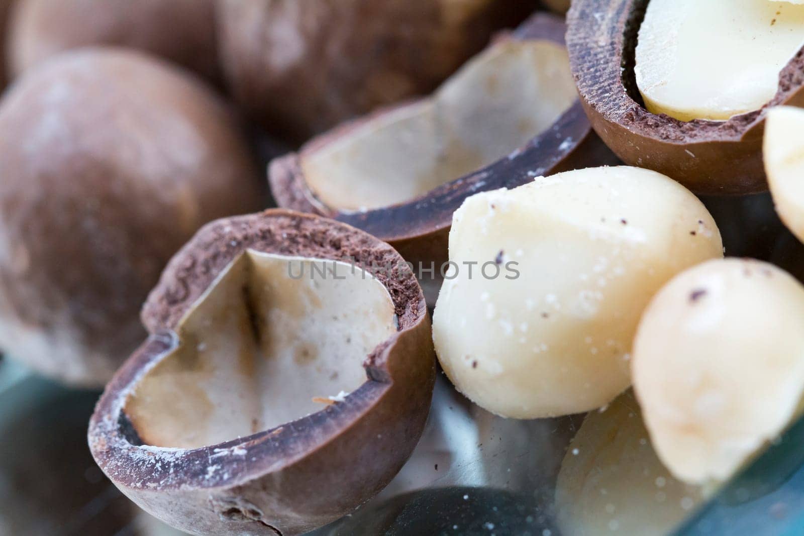 Macadamia