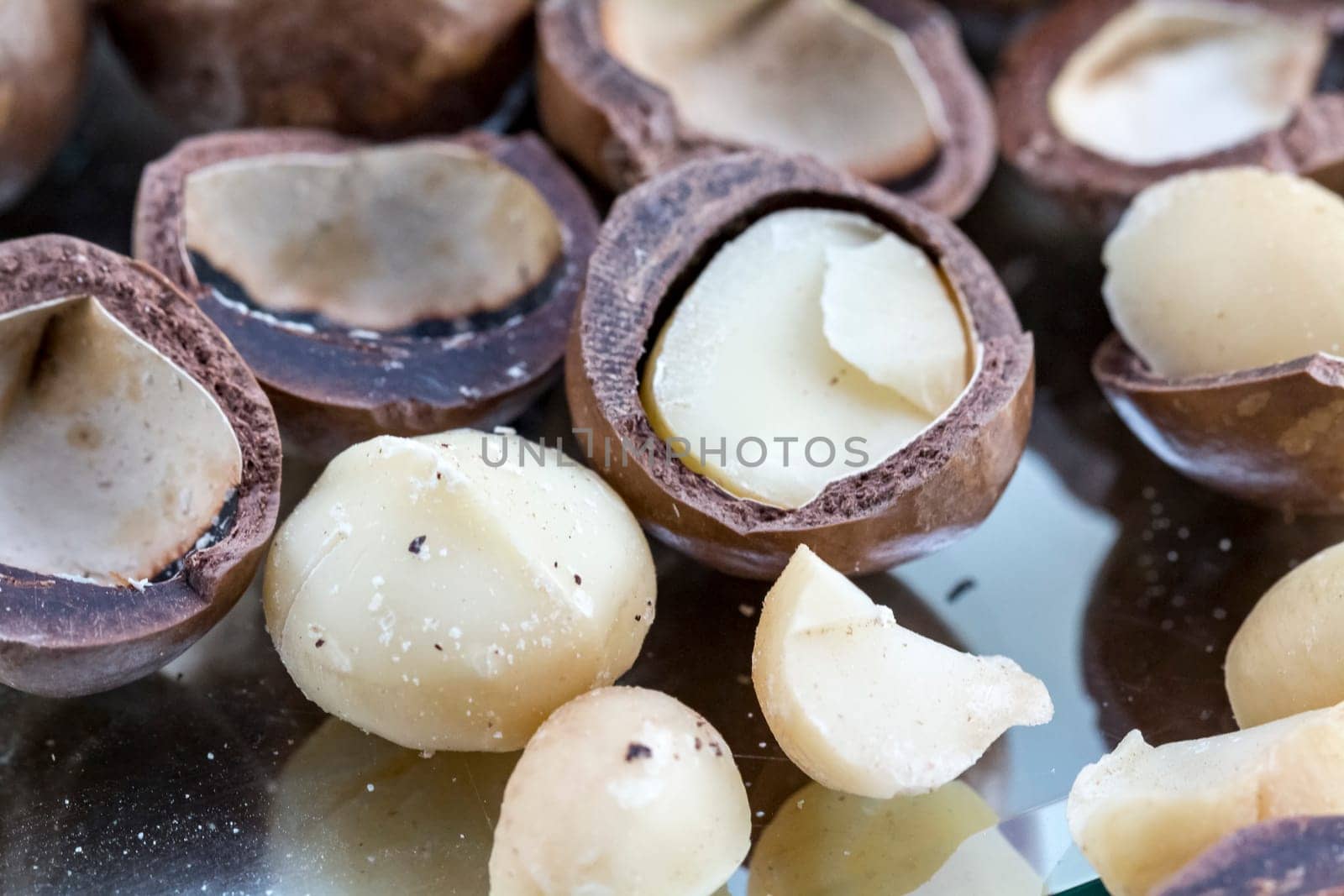 Macadamia