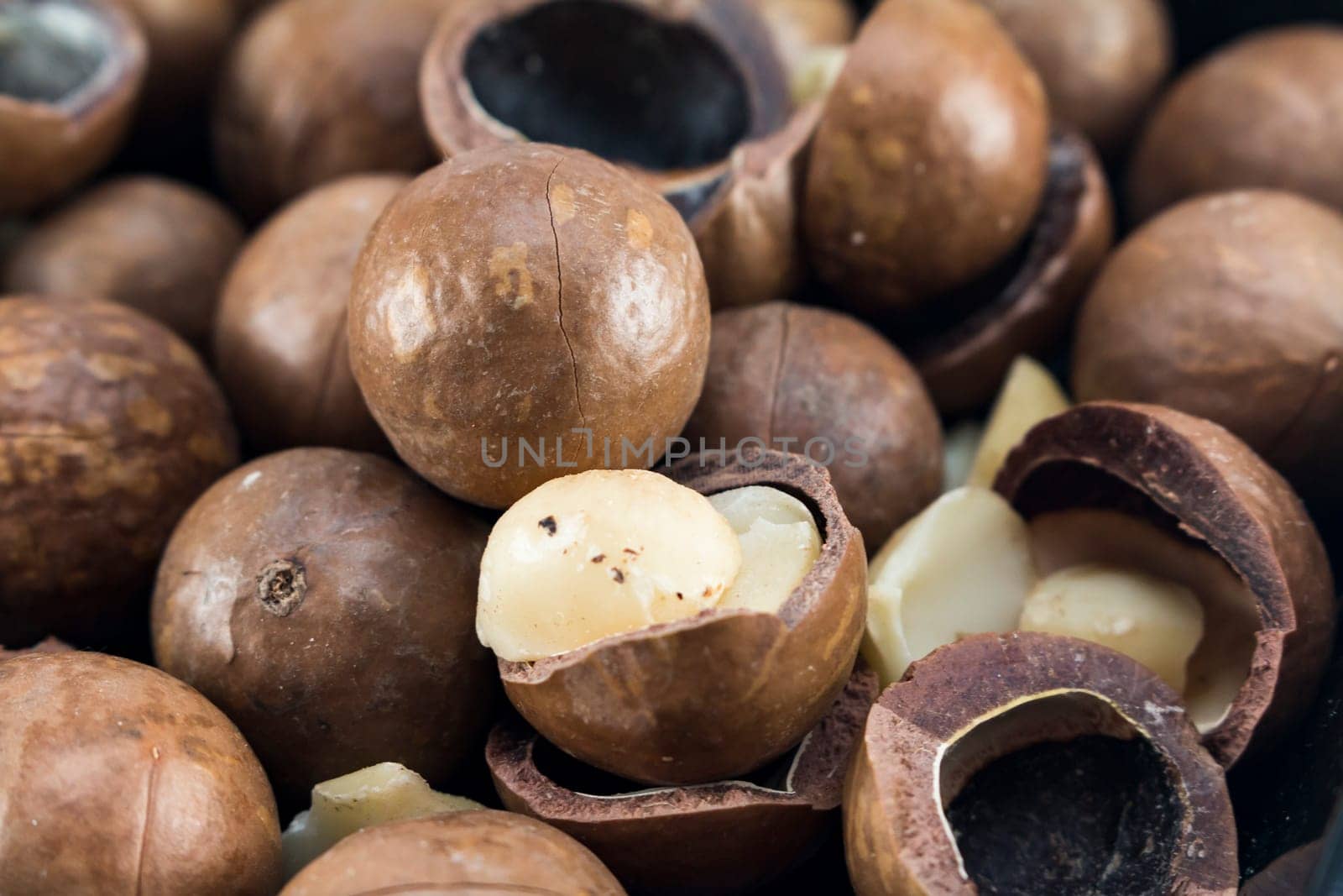 Macadamia