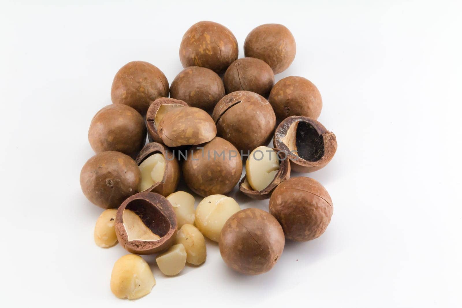 Macadamia