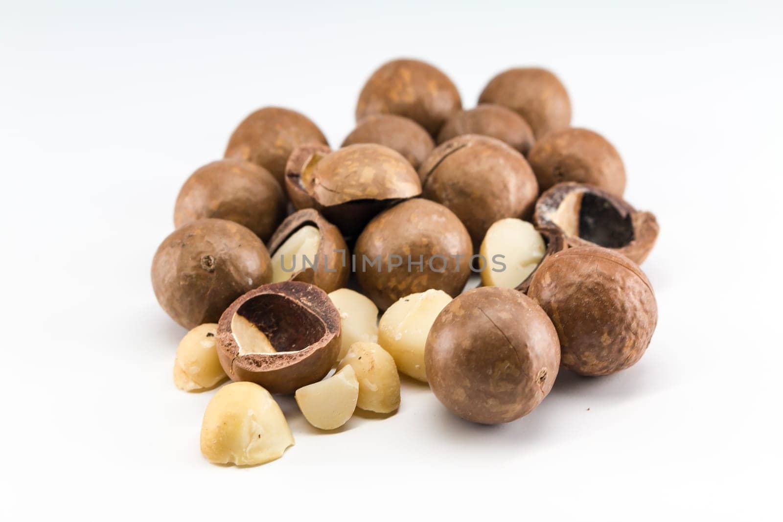 Macadamia