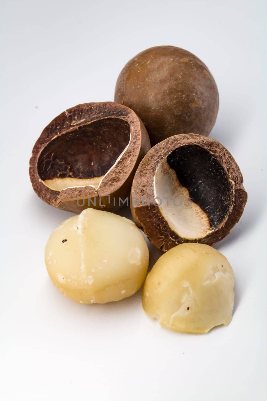 Macadamia