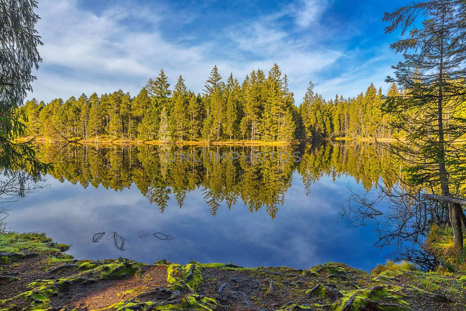 Etang de la Gruére high bog