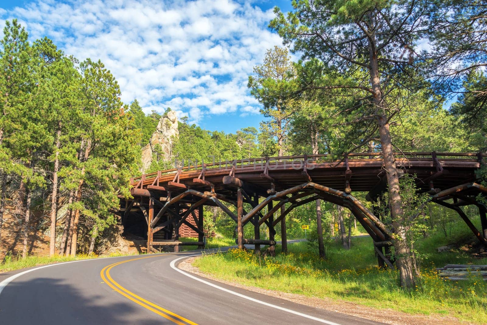 Bridge in Custer State Park in South Dakota