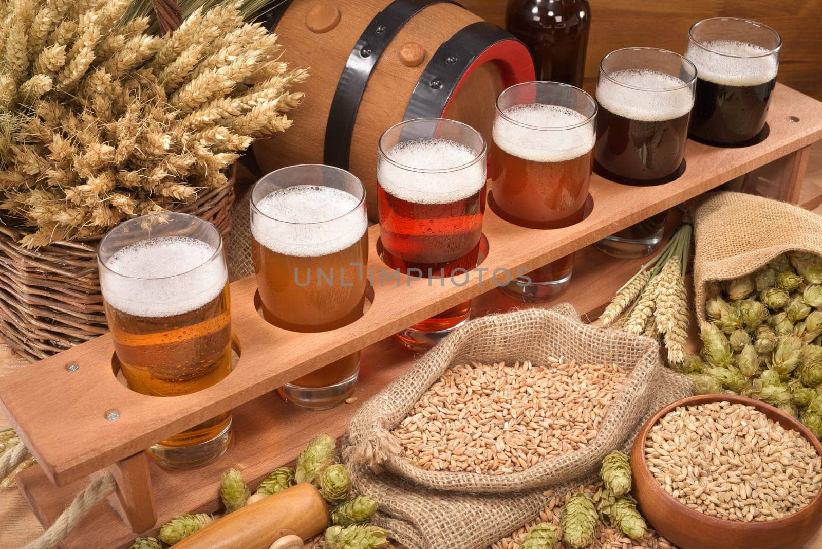 Beer carriers with many different beers,wheat,barley,hops and malt