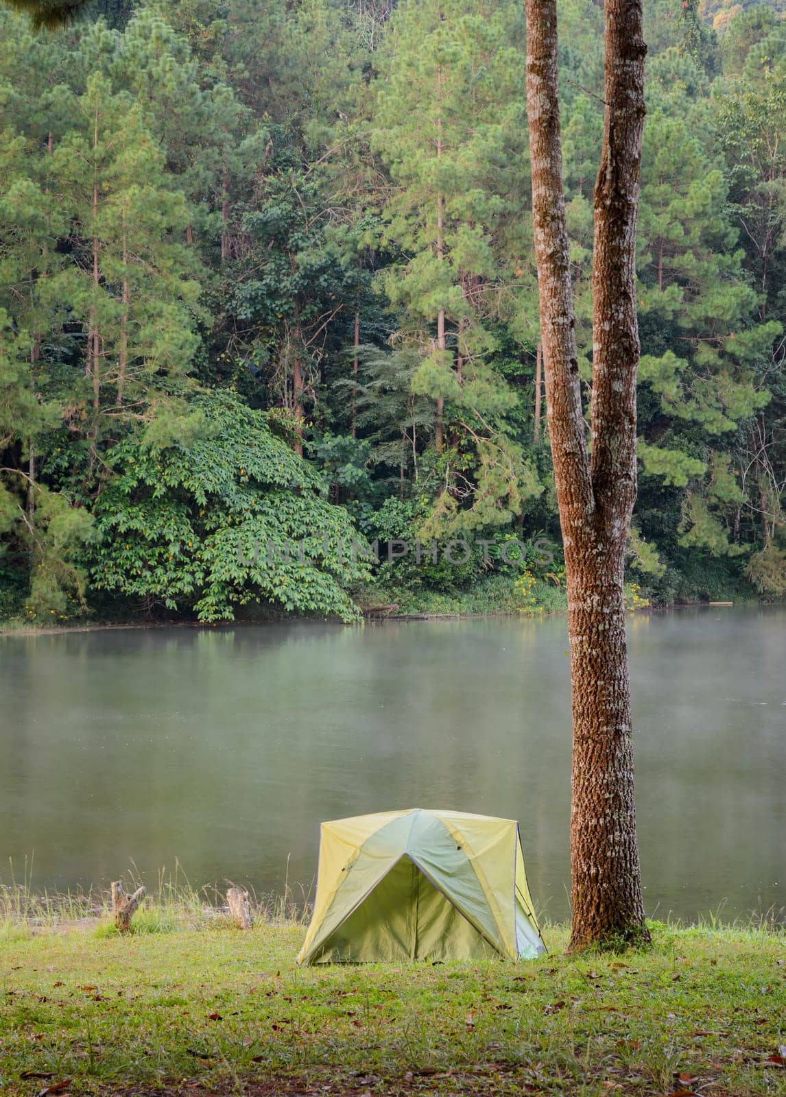 Green camping tent with fog over lake in the morning at Pang Oung national park in Mae Hong Son, Thailand