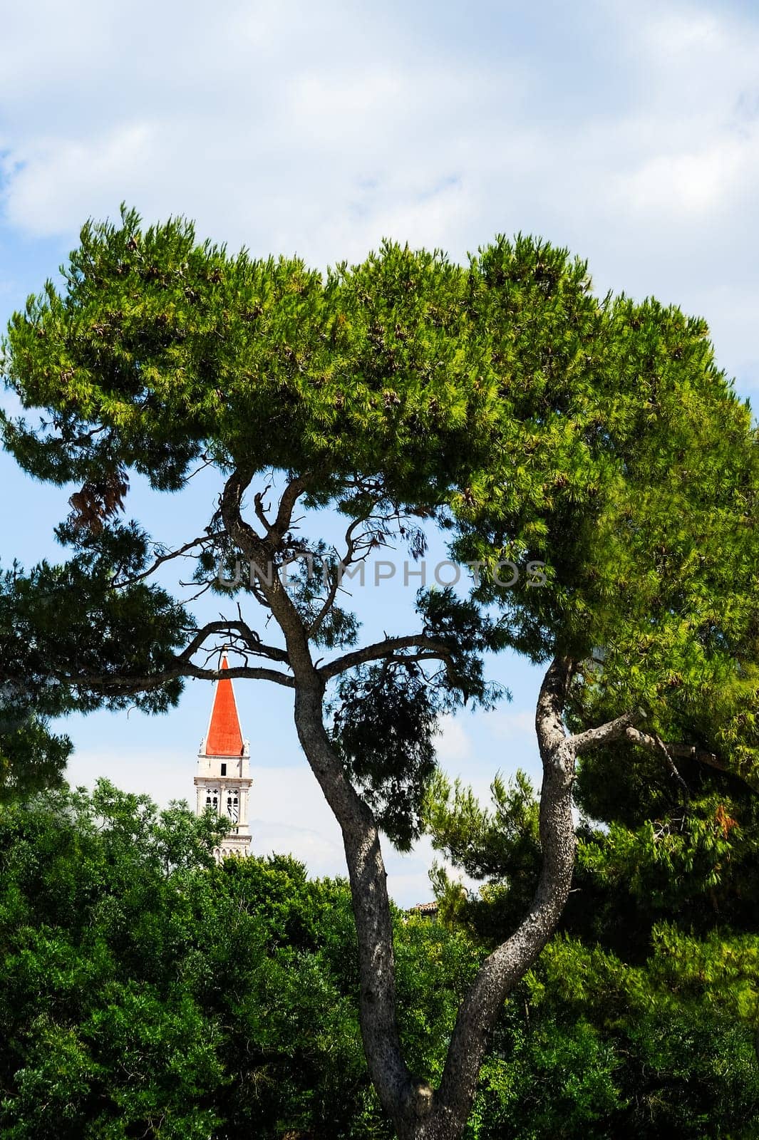 Church in Trogir between trees