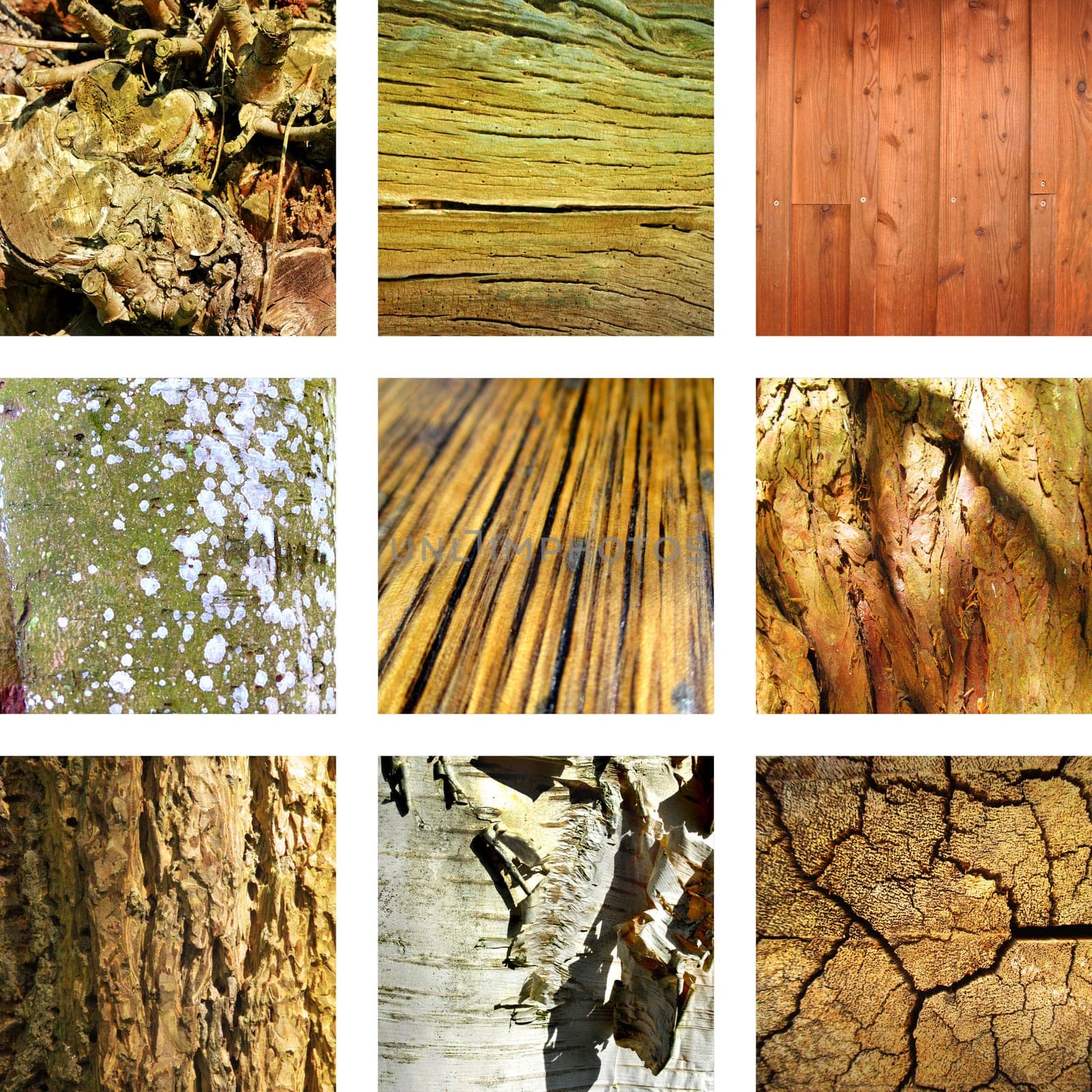 Nine pictures of wood and tree structures
