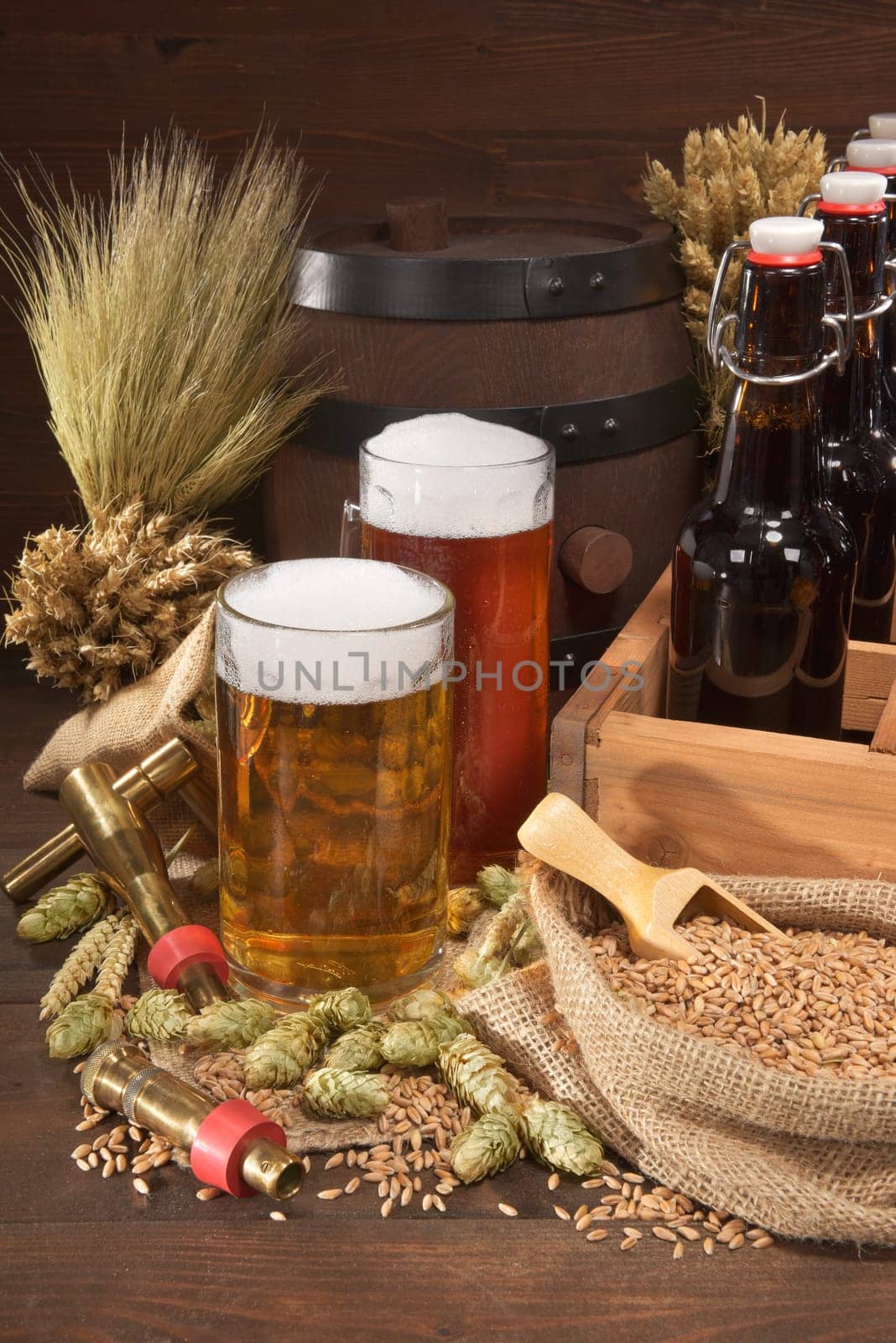 Beer carriers with various beers,wheat,barley,hops and malt