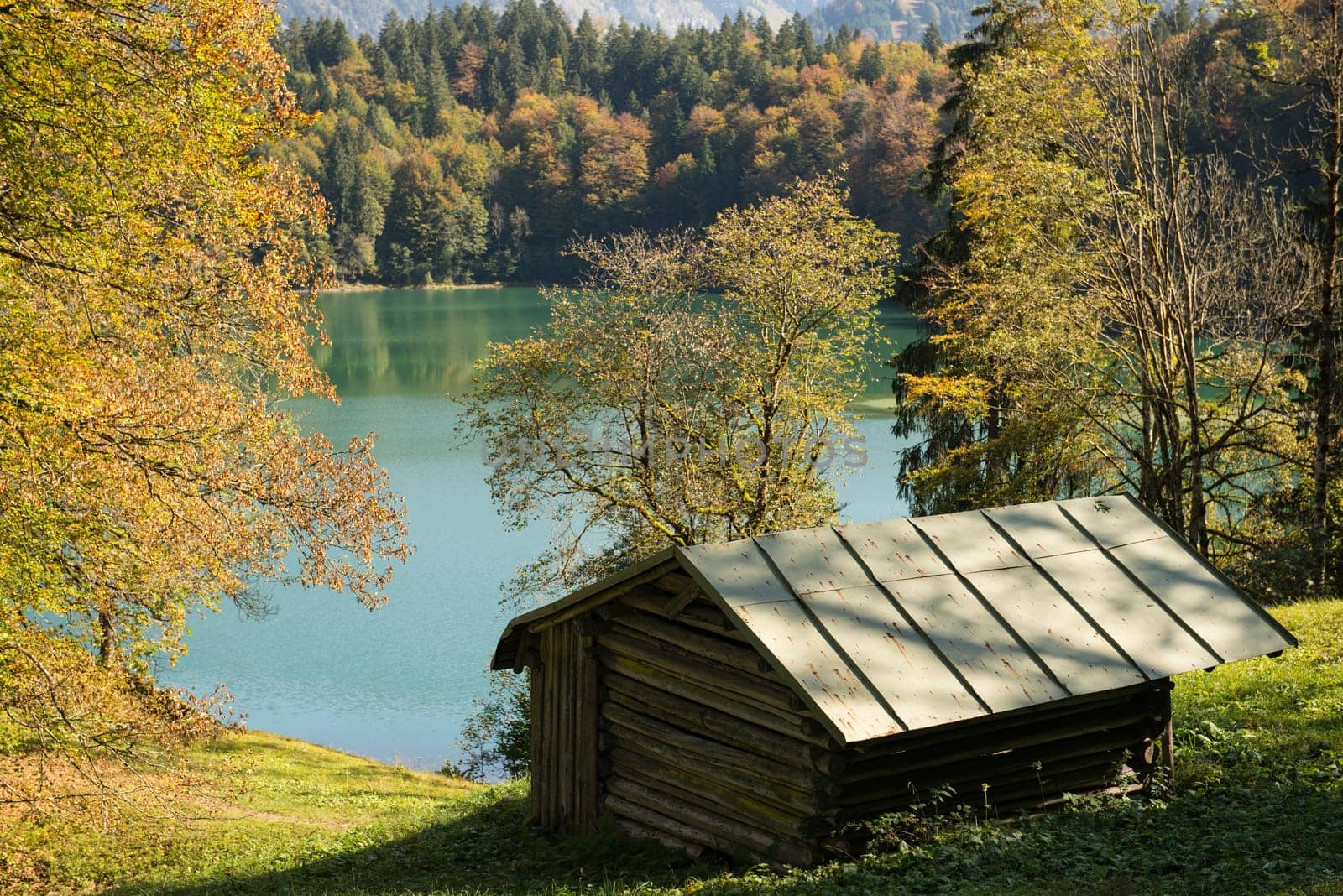 Wooden hut in autumn at the Freibergsee in the Allgäu
