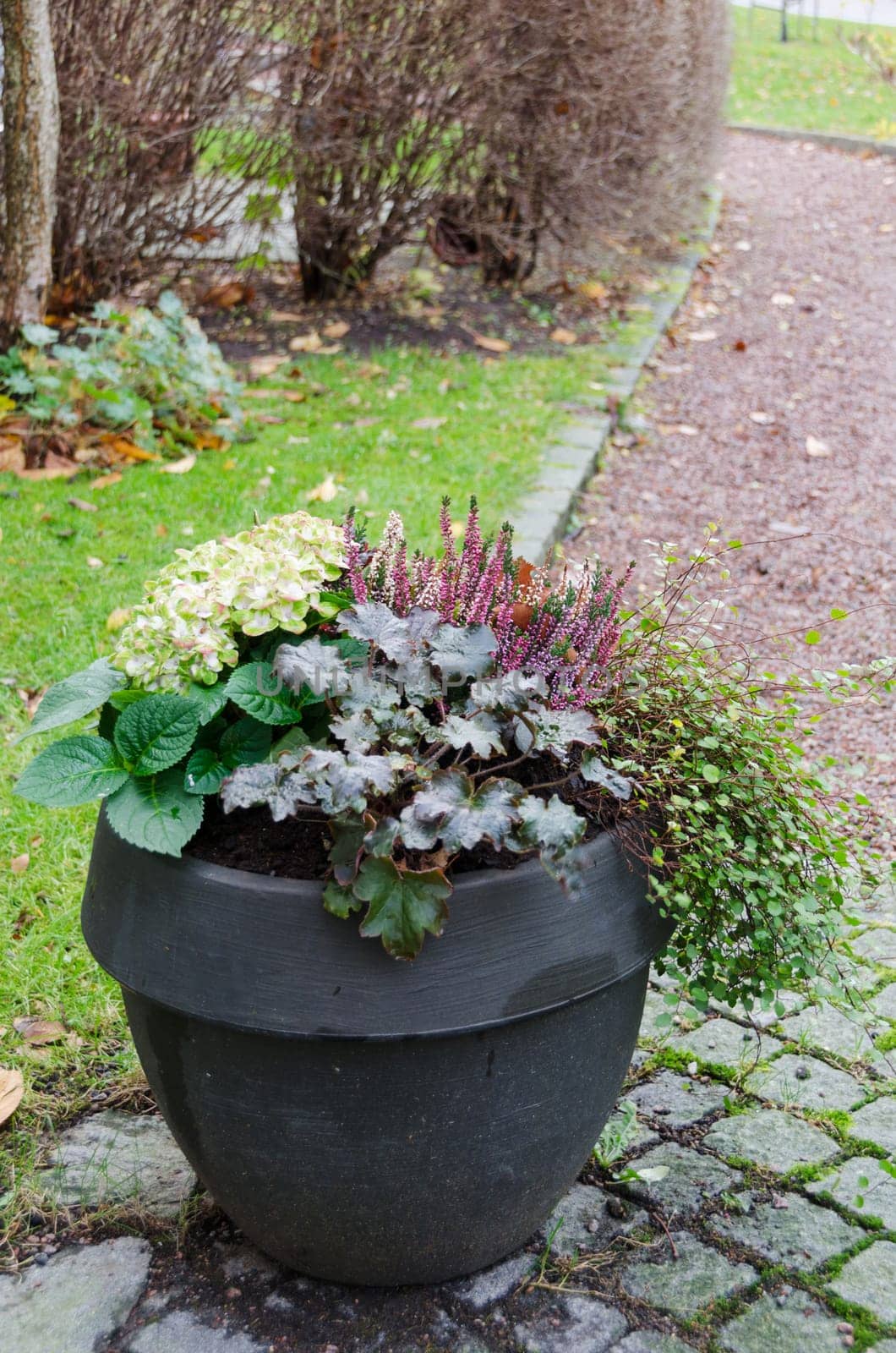 one lovely garden pots with autumn flower and plants
