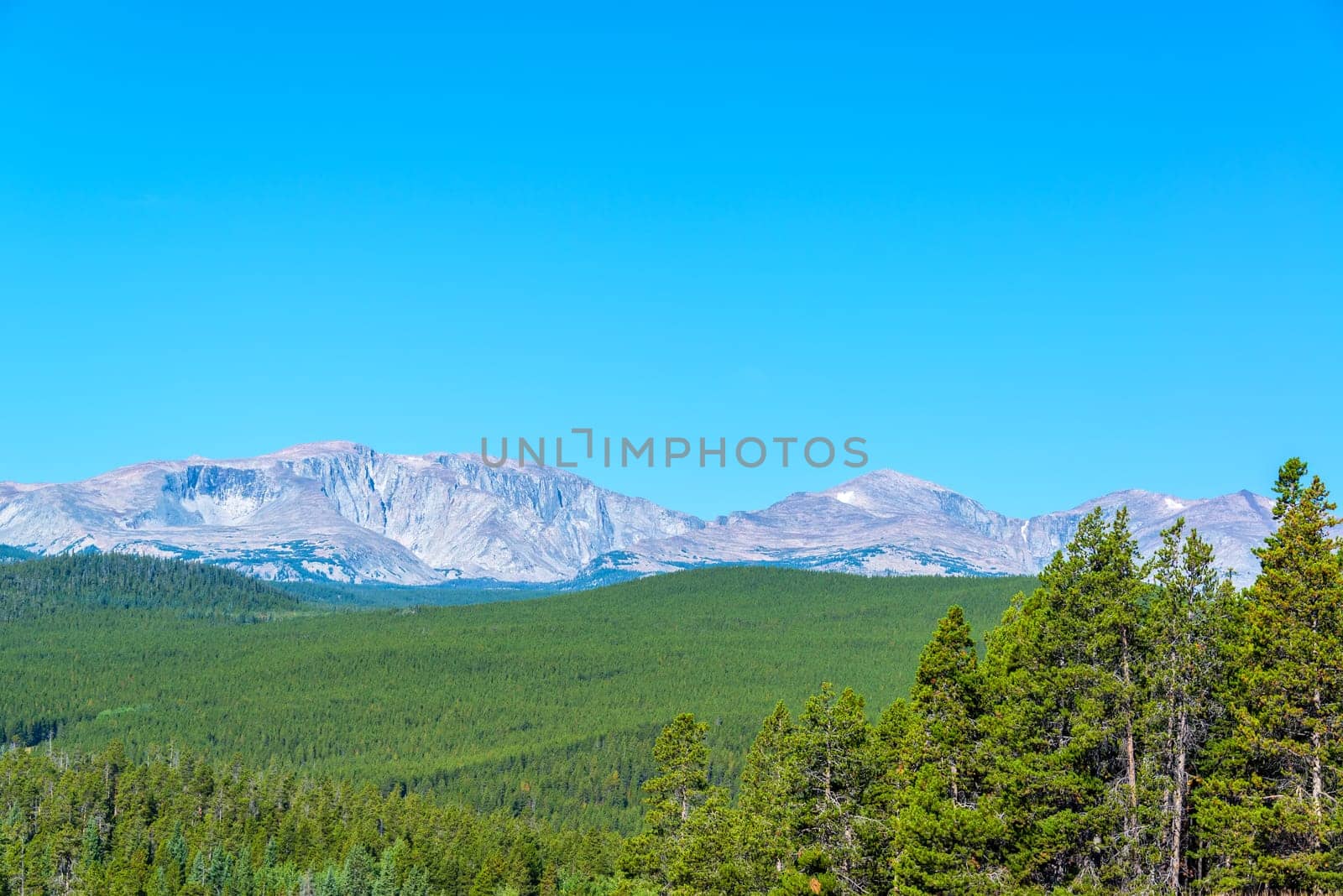 Bighorn Mountain Range rising above a dense evergreen forest in Wyoming