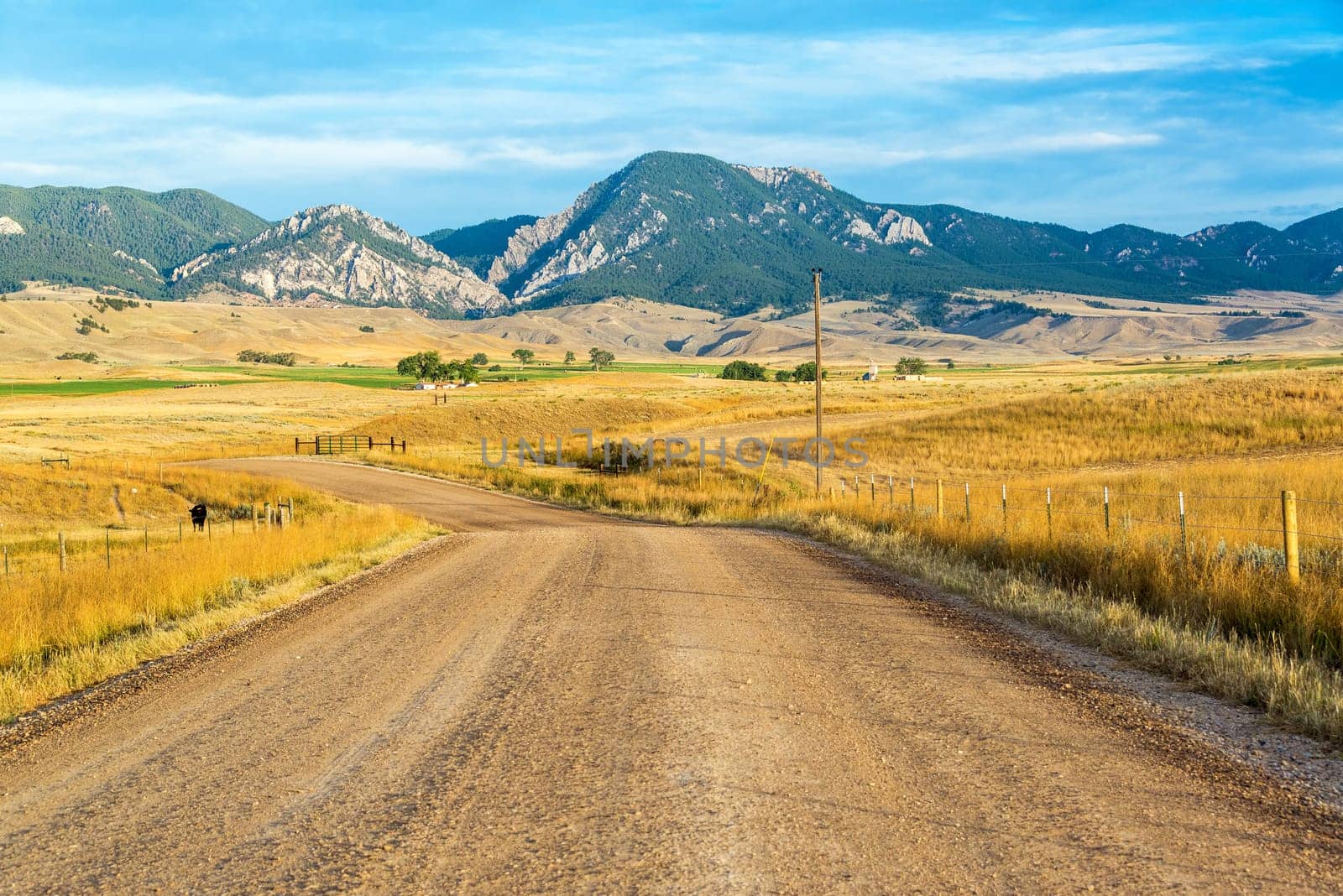Dirt road leading to the Bighorn Mountain Range near Buffalo, Wyoming