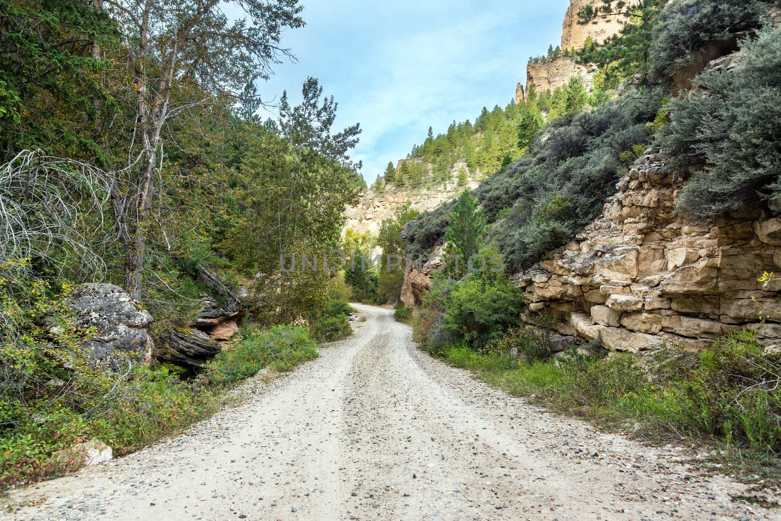 Road through Crazy Woman Canyon near Buffalo, Wyoming