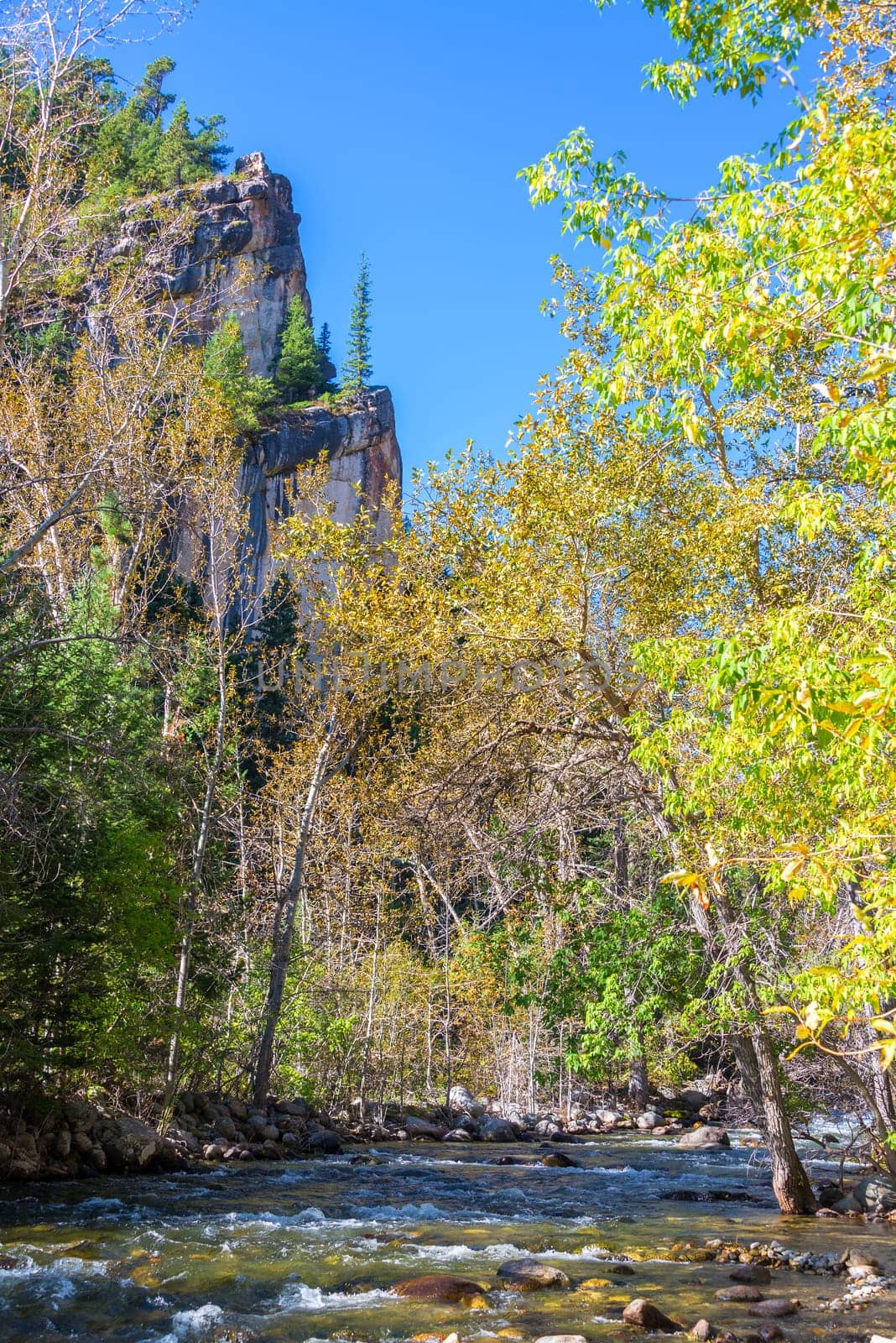 Vertical view of South Piney Creek near Story, Wyoming