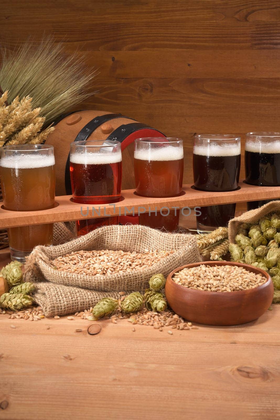 Beer carriers with many different beers,wheat,barley,hops and malt