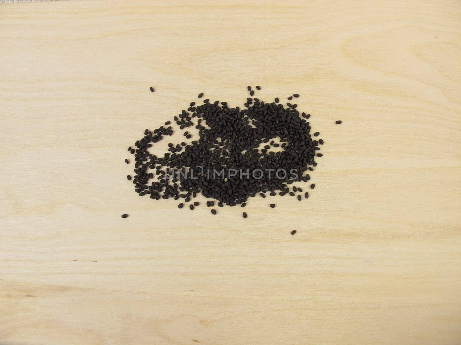 Germ seed for basil sprouts