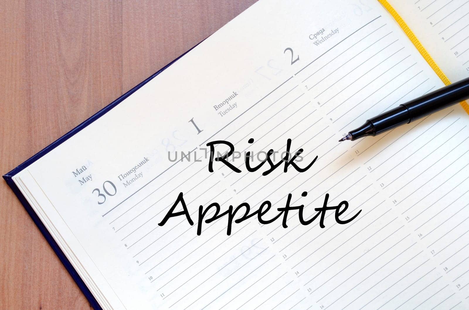 Risk appetite text concept write on notebook with pen