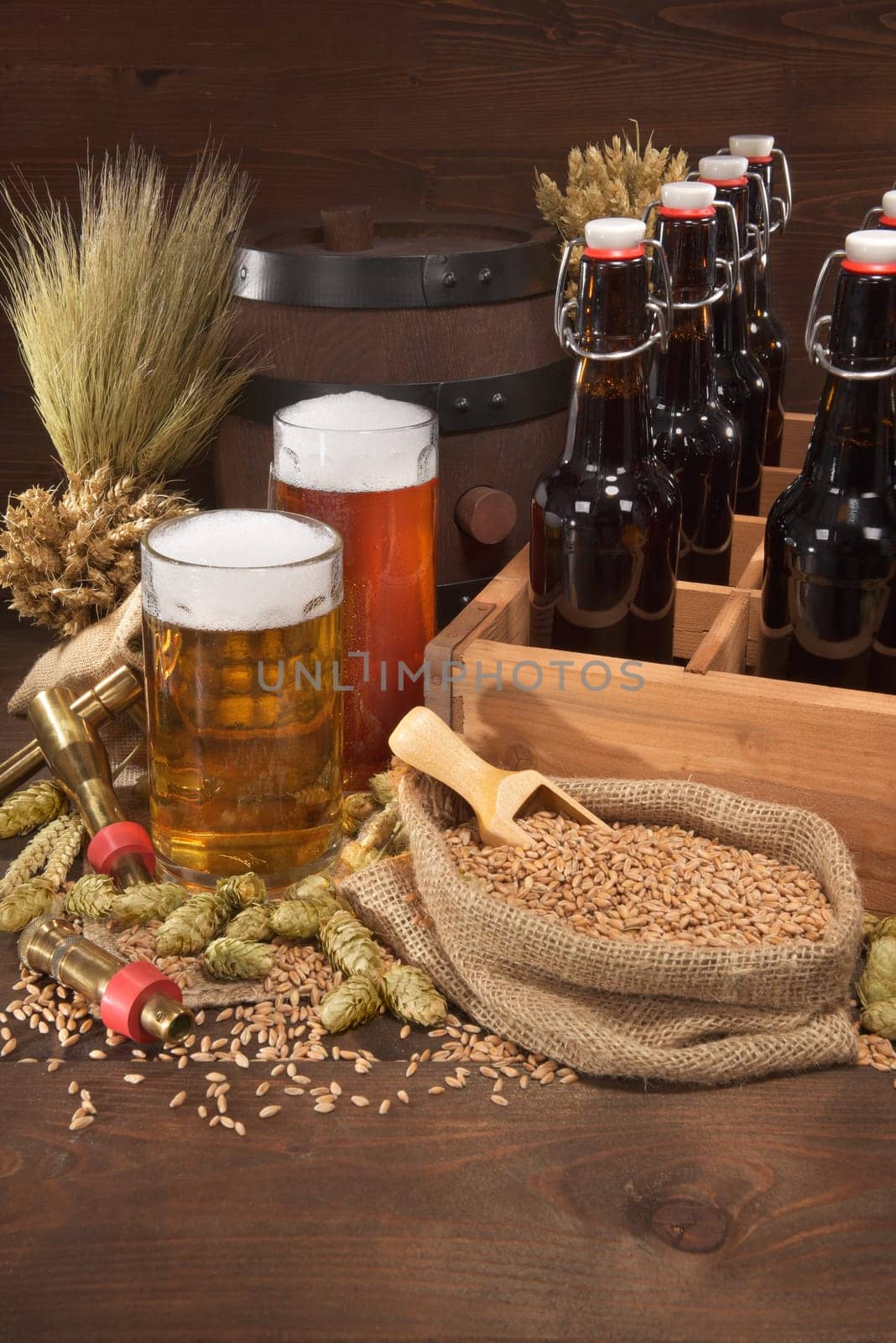 Beer carriers with various beers,wheat,barley,hops and malt