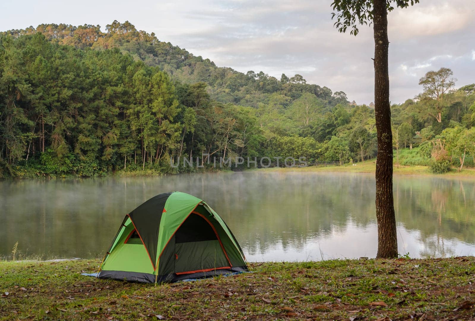 Green camping tent with fog over lake with beautiful view of pine tree forest at Pang Oung national park in Mae Hong Son, Thailand