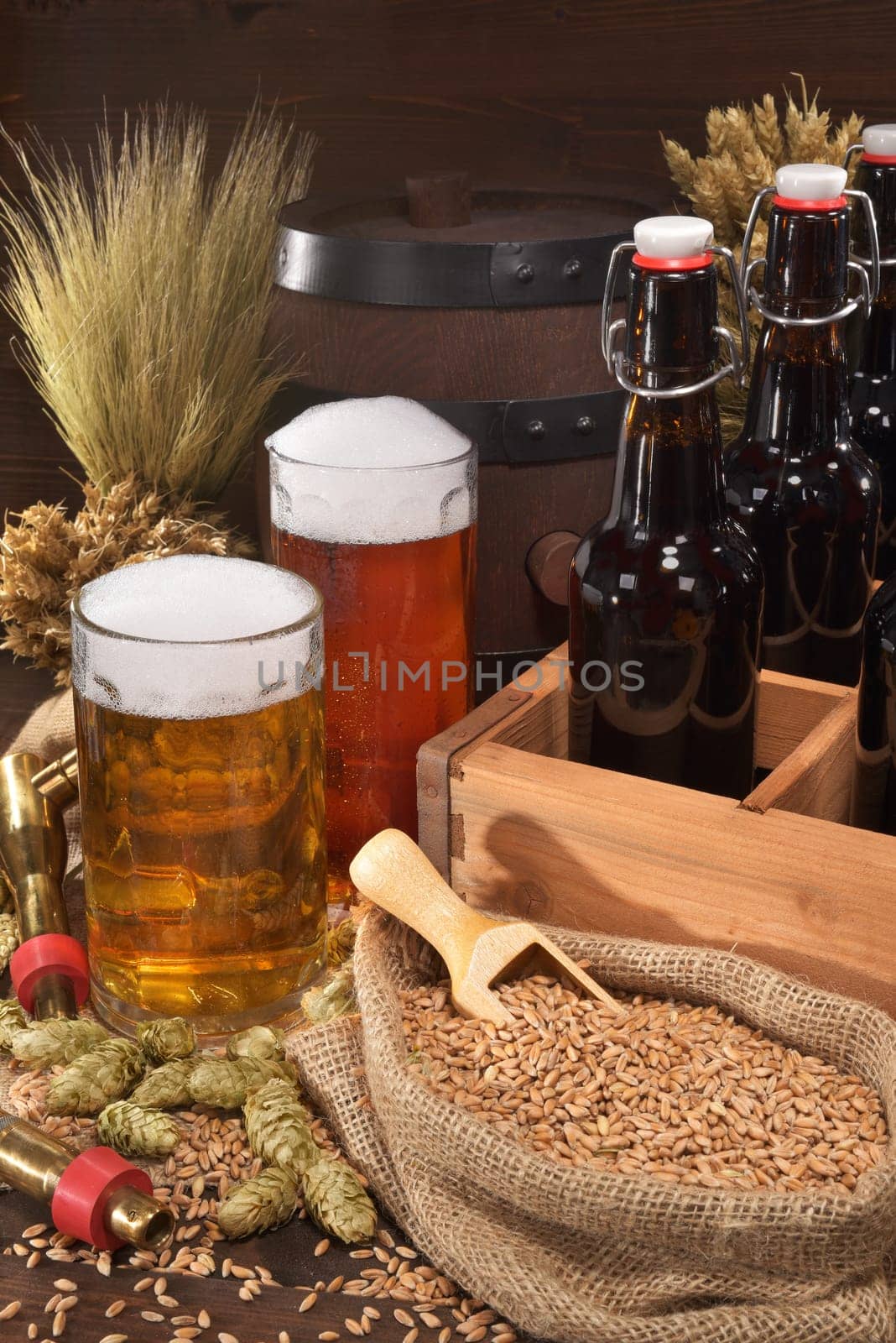Beer carriers with various beers,wheat,barley,hops and malt
